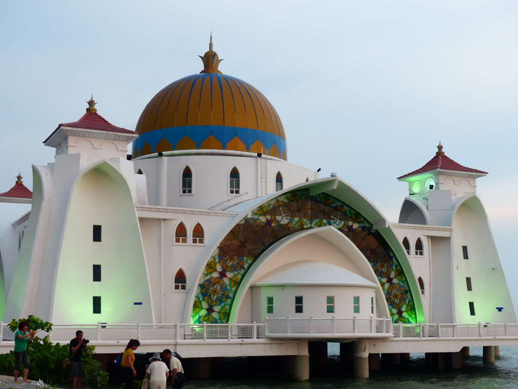 P1020397.resized.JPG P1020397.resized.JPG