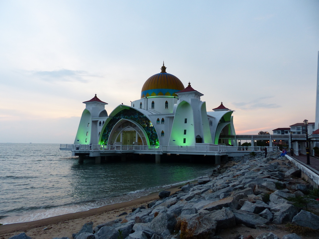 P1020401.resized.JPG P1020401.resized.JPG