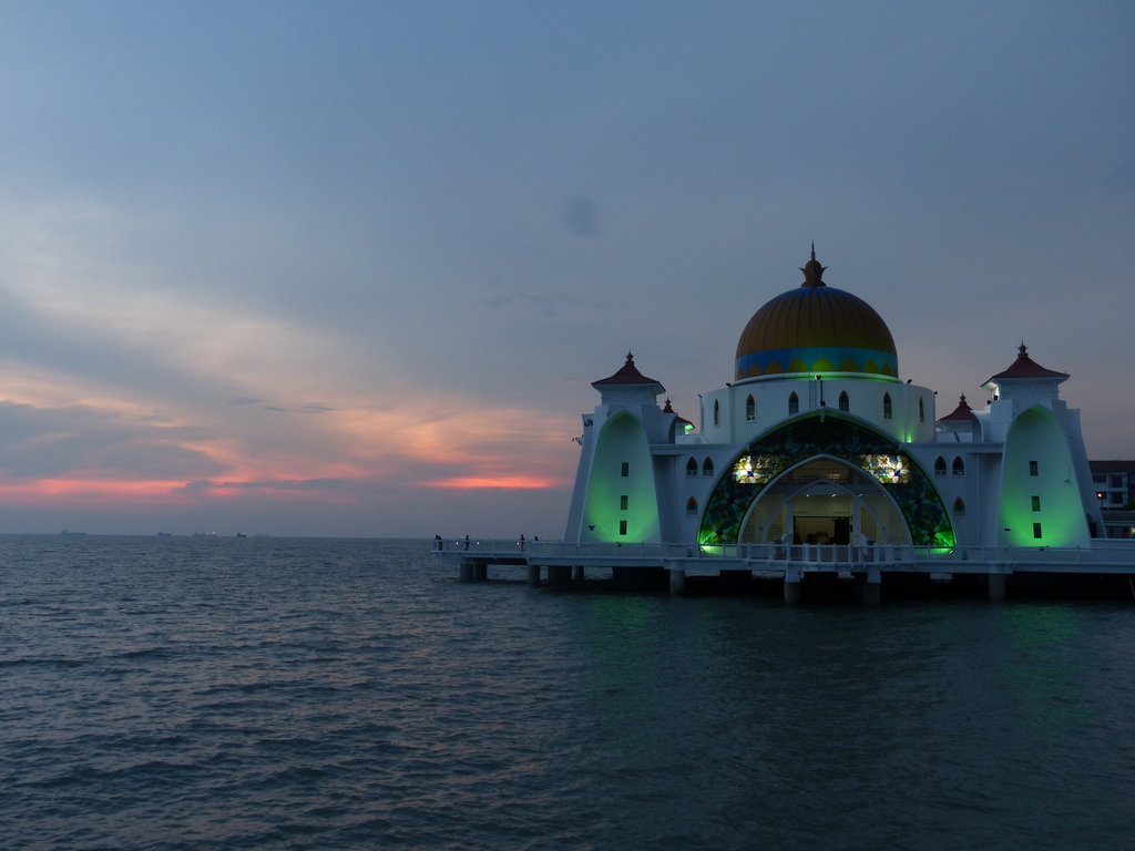 P1020410.resized.JPG P1020410.resized.JPG