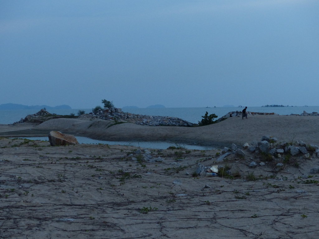 P1020411.resized.JPG P1020411.resized.JPG