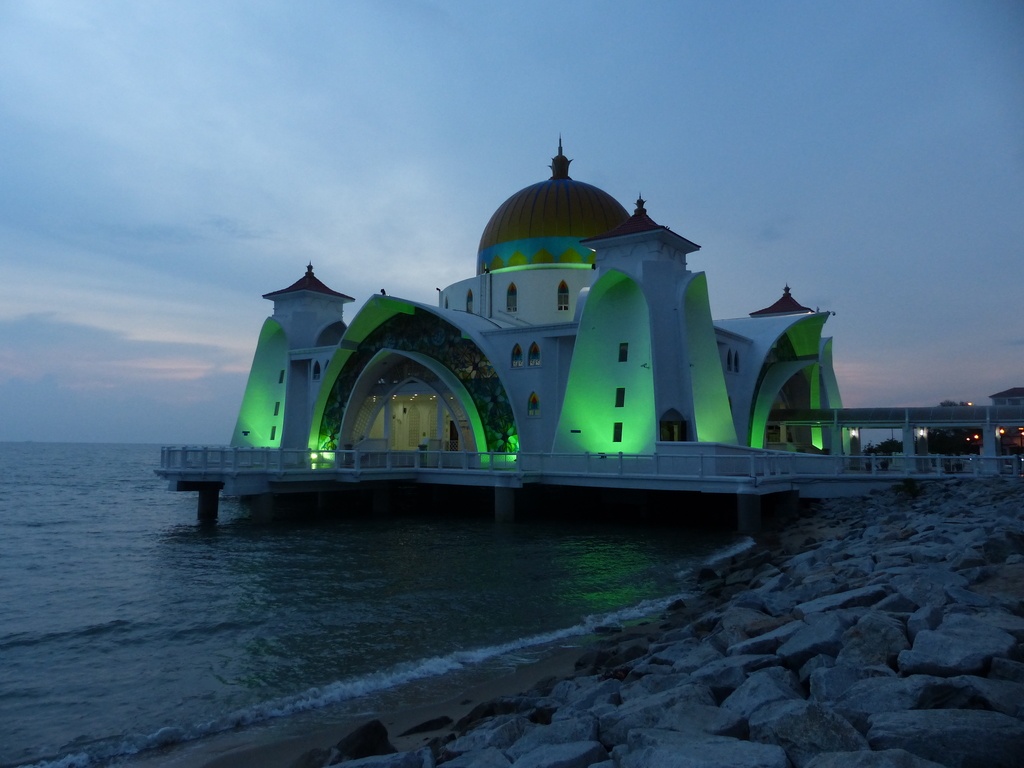 P1020416.resized.JPG P1020416.resized.JPG