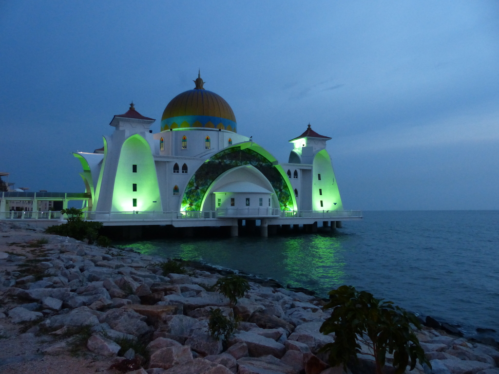 P1020421.resized.JPG P1020421.resized.JPG