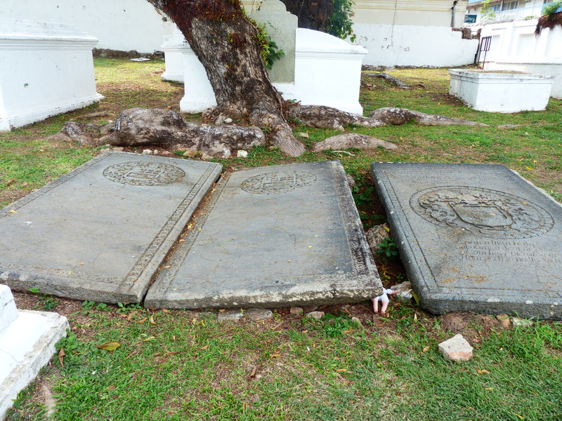 P1020424.resized.JPG P1020424.resized.JPG