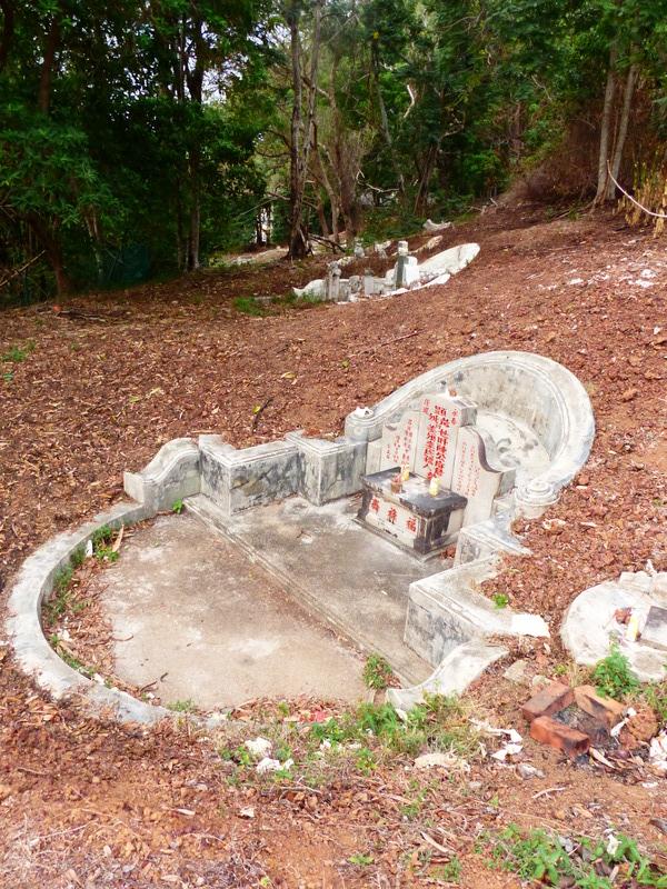 P1020463.resized.JPG P1020463.resized.JPG