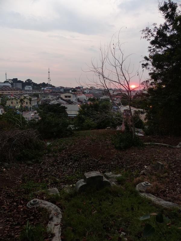 P1020464.resized.JPG P1020464.resized.JPG